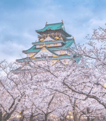 Osaka Castle